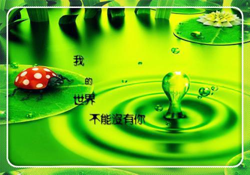 江清歌谢时峥（江清歌谢时峥）全文免费阅读无弹窗大结局_江清歌谢时峥全文免费阅读（江清歌谢时峥）最新章节列表（江清歌谢时峥）