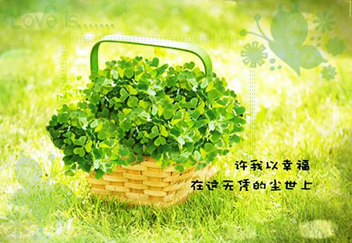 霍涟池夏小说热门下载（池夏霍涟）在线阅读全文_池夏霍涟小说免费阅读完结版全文