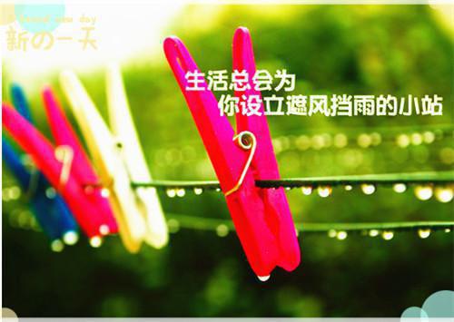 免费小说杨珂杨瑾杨瑜-主角为丑小孩的小说全文在线赏析