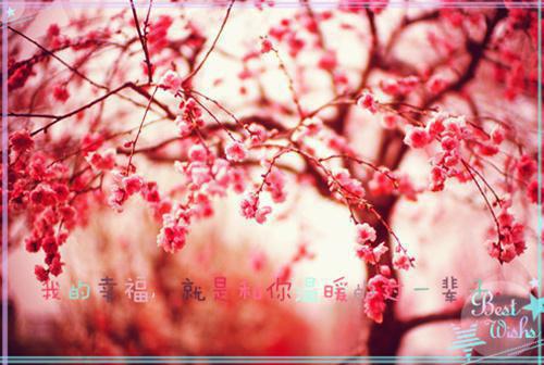 杀手重生我的老爸是皇帝苏月肖寒（肖寒苏月）全文免费阅读无弹窗大结局_（杀手重生我的老爸是皇帝苏月肖寒）肖寒苏月最新章节列表（肖寒苏月）