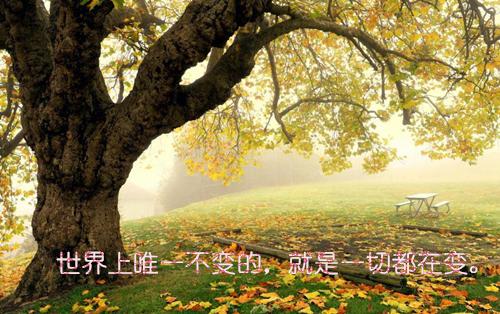 让他后悔小说全文免费阅读(林新月顾思南)全文免费林新月顾思南读无弹窗大结局_ 林新月顾思南免费林新月顾思南读最新章节列表（让他后悔小说）