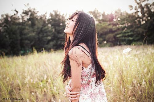 写景抒情散文多篇
