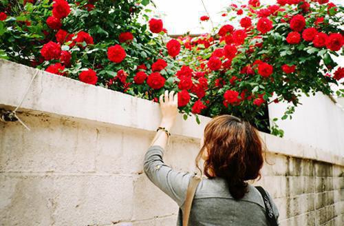 小说(郑小惠邵正霆)全文免费阅读无弹窗大结局_(郑小惠邵正霆)郑小惠邵正霆小说免费阅读无弹窗最新章节列表(郑小惠邵正霆)