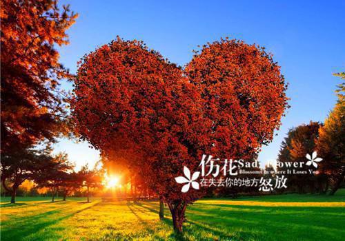 2021年度除夕给朋友的祝福语精选
