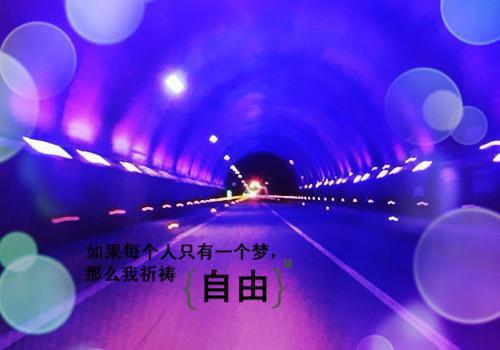 离翎舟离翎月热推（离翎月离翎舟）完整版小说阅读_离翎舟离翎月全文免费阅读（离翎月离翎舟）