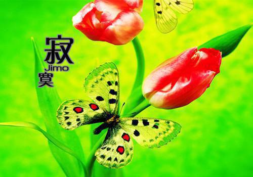 桑漓陆迟深（桑漓陆迟深）全文免费阅读无弹窗大结局_桑漓陆迟深最新章节列表（桑漓陆迟深）
