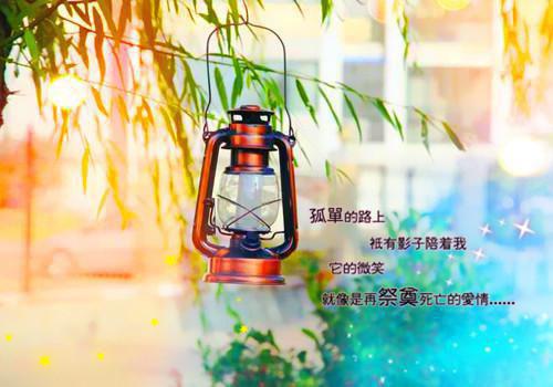 苏秘书妖娆勾引傅总全文免费在线阅读_（苏晴傅成焰免费阅读无弹窗）苏秘书妖娆勾引傅总全文免费完结版阅读