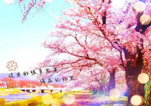 林深不知雪寒番外下载（秦晓雪叶林）全文免费阅读无弹窗大结局_(林深不知雪寒)最新章节列表（秦晓雪叶林）