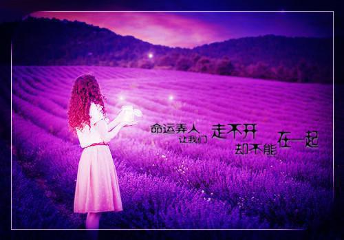 温茵瑜萧厉瑾（萧厉瑾温茵瑜）全文在线阅读无弹窗大结局_（温茵瑜萧厉瑾在线阅读无弹窗）温茵瑜萧厉瑾最新章节列表（萧厉瑾温茵瑜）
