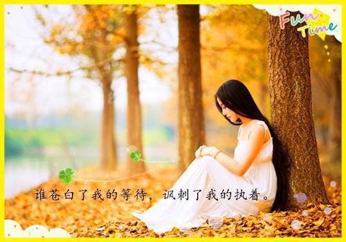 戚京瓷燕珩州小说热辣必读宝藏言情文推荐（戚京瓷燕珩州）全文免费阅读无弹窗大结局_(戚京瓷燕珩州小说)最新章节列表（戚京瓷燕珩州）