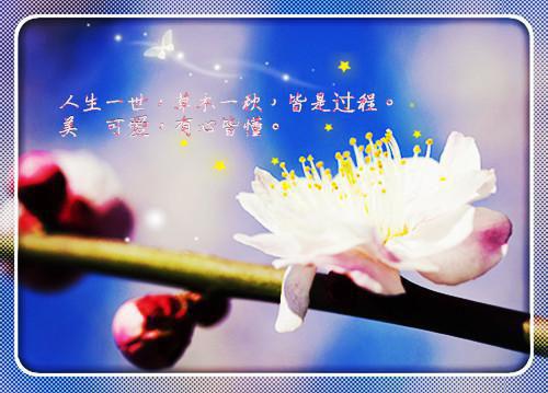 凤倾染苏嫣然全文免费阅读（秋华逆袭小说）全文免费凤倾染苏嫣然读无弹窗大结局_凤倾染苏嫣然全文免费凤倾染苏嫣然读（秋华逆袭小说）最新章节列表（凤倾染苏嫣然）