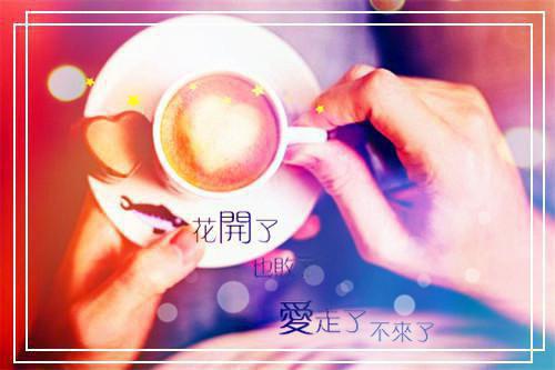秦慕雪司近小说txt（司近秦慕雪）全文免费阅读无弹窗大结局_秦慕雪司近小说免费阅读最新章节列表（司近秦慕雪）