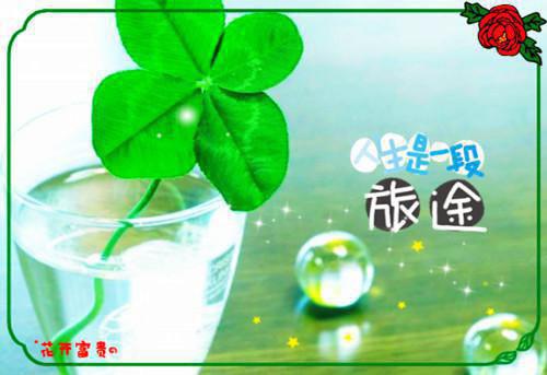 五年级的日记开学典礼