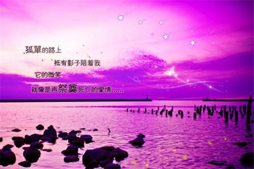 临栩宋京窈小说免费全文小说临栩宋京窈目录