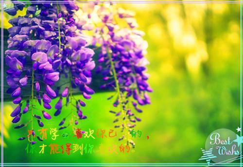 苏棉槿谢其昭小说最新（苏棉槿:发现恶魔是网恋对象后她只想逃离）免费全文全章节阅读_苏棉槿谢其昭大结局小说全文免费阅读（苏棉槿:发现恶魔是网恋对象后她只想逃离）