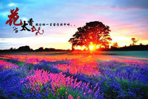 苏点点闵嘉然（综艺爆火，全网认她当闺女）全文免费阅读无弹窗大结局_综艺爆火，全网认她当闺女最新章节列表（苏点点闵嘉然）