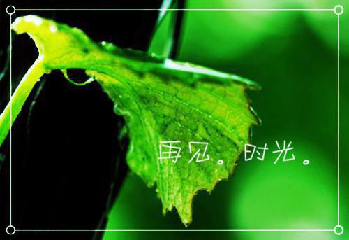 江眠月霍榕川全文（霍榕川江眠月）全文免费阅读无弹窗大结局_江眠月霍榕川全文最新章节列表（霍榕川江眠月）