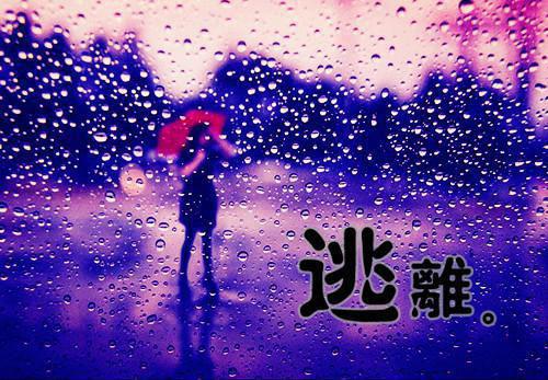 南笙笙陆则（南笙笙陆则）全文免费阅读无弹窗大结局_(南笙笙陆则南笙笙陆则免费阅读全文大结局)最新章节列表（南笙笙陆则）