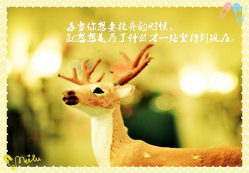 云泽祁颜玉凰（颜玉凰云泽祁）全文免费阅读无弹窗大结局_颜玉凰云泽祁最新章节列表（云泽祁颜玉凰）