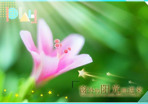 宋棠悠周钦尧的小说 宋棠悠周钦尧全文免费阅读