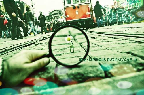 宋惜惜战北望（将门弃妇又震慑边关了）全文免费阅读无弹窗大结局_宋惜惜战北望免费阅读最新章节列表（将门弃妇又震慑边关了）