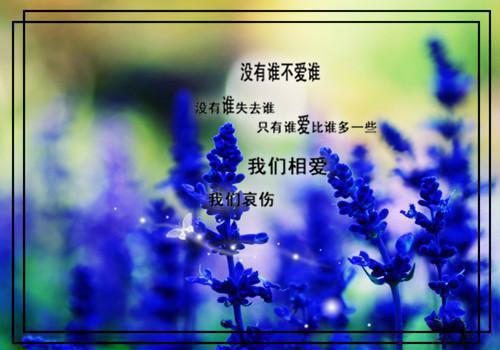 苏兮沈妄（苏兮沈妄）全文免费阅读无弹窗大结局_小仙女重生后，醋精学霸总是脸红（苏兮沈妄）