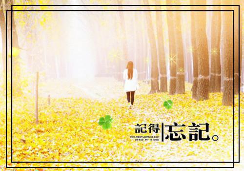 关于高中周记青春励志模板汇编9篇