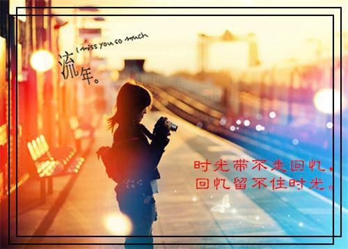 情人节的表白情书语录