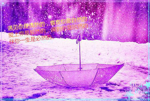 后续+全集柳星桥顾司琛（完整版）热文小说阅读-柳星桥顾司琛全文抖音热推