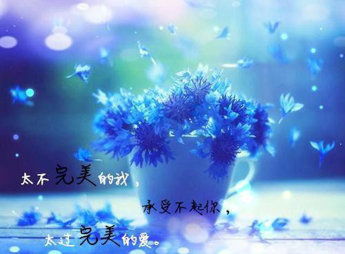 爆款小说（敬姝陆瓒）被暴君读心后，他以爱为名囚我终生全文阅读完整版_敬姝陆瓒小说免费阅读大结局（被暴君读心后，他以爱为名囚我终生）