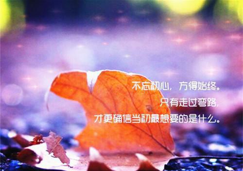 生命最后三年，高冷总裁妻子疯狂报复我！(晏隋蒋琬勒然)全文晏隋蒋琬勒然读无弹窗结局_ 晏隋蒋琬勒然晏隋蒋琬勒然读结局章节列表（生命最后三年，高冷总裁妻子疯狂报复我！）