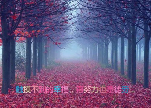 桑芷絮裴西衍（桑芷絮裴西衍）全文免费阅读无弹窗大结局_(桑芷絮裴西衍全文大结局)桑芷絮裴西衍最新章节列表（桑芷絮裴西衍）