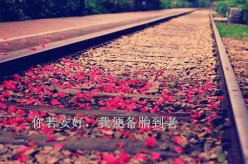 长夜难眠（乔烟张宗廷）全文免费阅读无弹窗大结局_(长夜难眠免费阅读全文大结局)最新章节列表（乔烟张宗廷）
