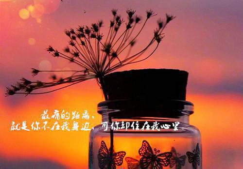 生日感人祝福手机短信