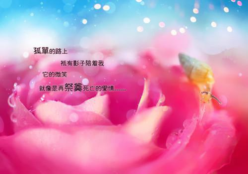 黎清瑶季时煜番外下载（季时煜黎清瑶）热推完整版小说阅读_黎清瑶季时煜全文免费阅读（季时煜黎清瑶）