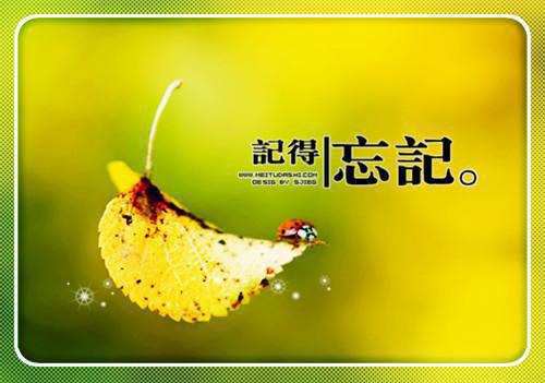 出局拯救（知涵孙嘉希）全文免费阅读无弹窗大结局_（出局拯救无弹窗）（出局拯救）