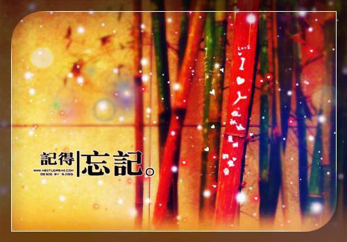 主角是卓灼安安的小说免费阅读全文大结局