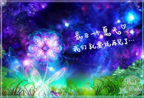 (完整版)宋星婉周御霆小说免费阅读无广告