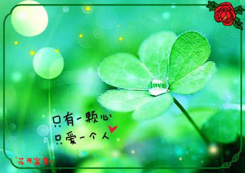 675322宛烟扶华全本小说675322宛烟扶华免费章节阅读