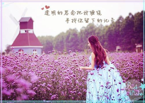 颜书妤周钦和免费阅读无弹窗颜书妤周钦和（颜书妤周钦和）全文免费阅读无弹窗大结局_(颜书妤周钦和)颜书妤周钦和最新章节列表（颜书妤周钦和）