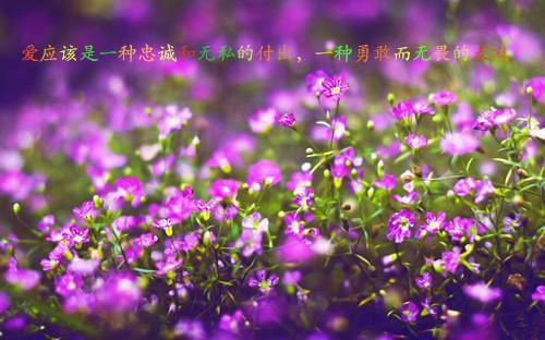 魏云帆楚楽（赵玥白岐免费）全文免费阅读无弹窗大结局_(赵玥白岐免费全文免费阅读大结局)最新章节列表（魏云帆楚楽）