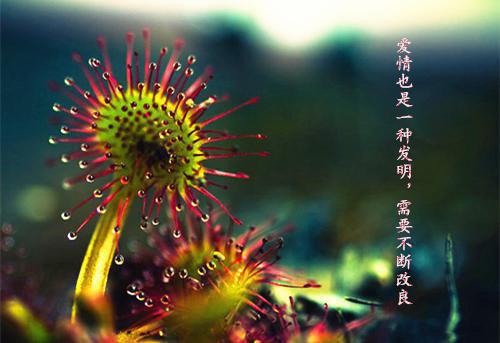 余小七玄凌（余小七玄凌）全文免费阅读无弹窗大结局_余小七玄凌小说最新章节列表（余小七玄凌）