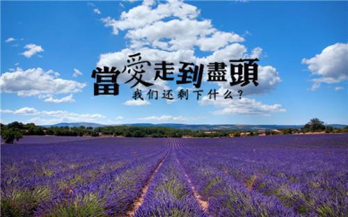 头号宠妻沈少谋婚有道江雨晴沈星耀全文阅读 风语者