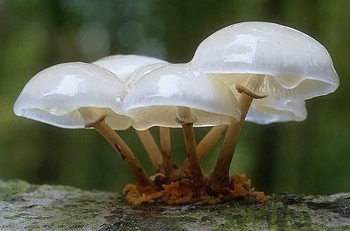 沈安绮蒋铭翊小说阅读 沈安绮蒋铭翊全文免费无广告