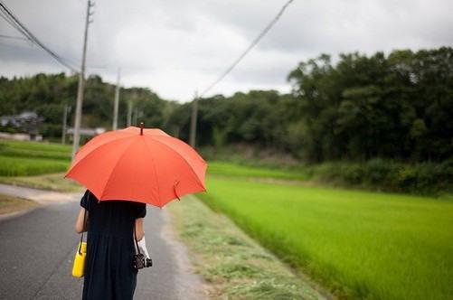 魔盗白骨衣网络电影原著小说免费阅读