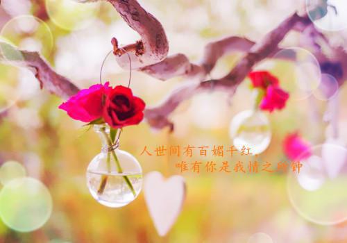 未删节我丧子后重病在床，出轨的夫君才悔悟(叶玧陆清婉叶崇言苏揽月)小说APP内全章节免费阅读