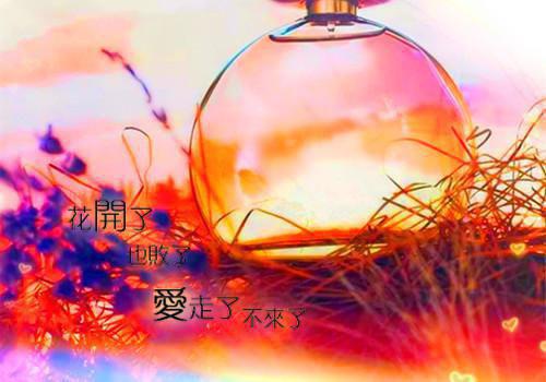 苏月肖寒杀手重生，我的老爸是皇帝(苏月肖寒)全文免费阅读无弹窗大结局_苏月肖寒苏月肖寒杀手重生，我的老爸是皇帝免费阅读最新章节列表（苏月肖寒）
