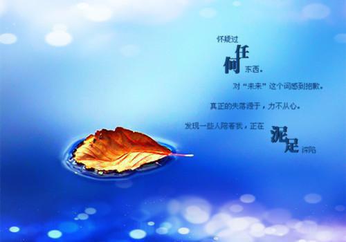 权初贺行止全文（贺行止权初）完整版小说阅读_权初贺行止全本列表免费（贺行止权初）