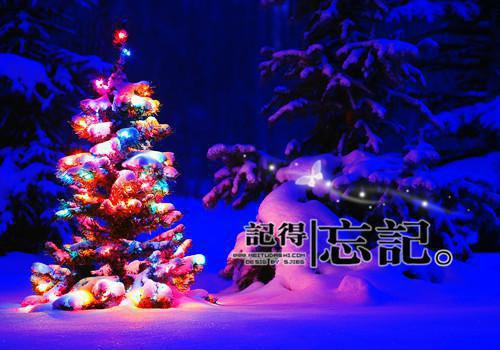 乔菲顾明觉免费阅读（顾明觉乔菲）全文免费阅读无弹窗大结局_乔菲顾明觉免费阅读最新章节列表（顾明觉乔菲）