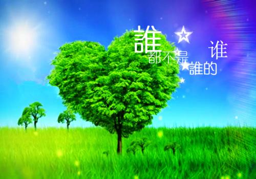 瑞士卷买八退二(佚名)小说最新章节